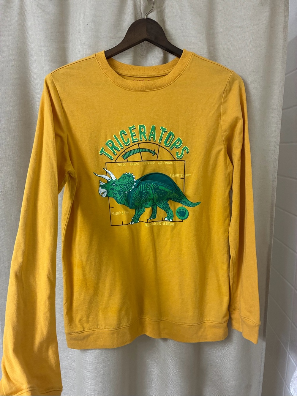 Gymboree Yellow Long-Sleeve Triceratops Graphic Tee with zipper pocket dinosaur